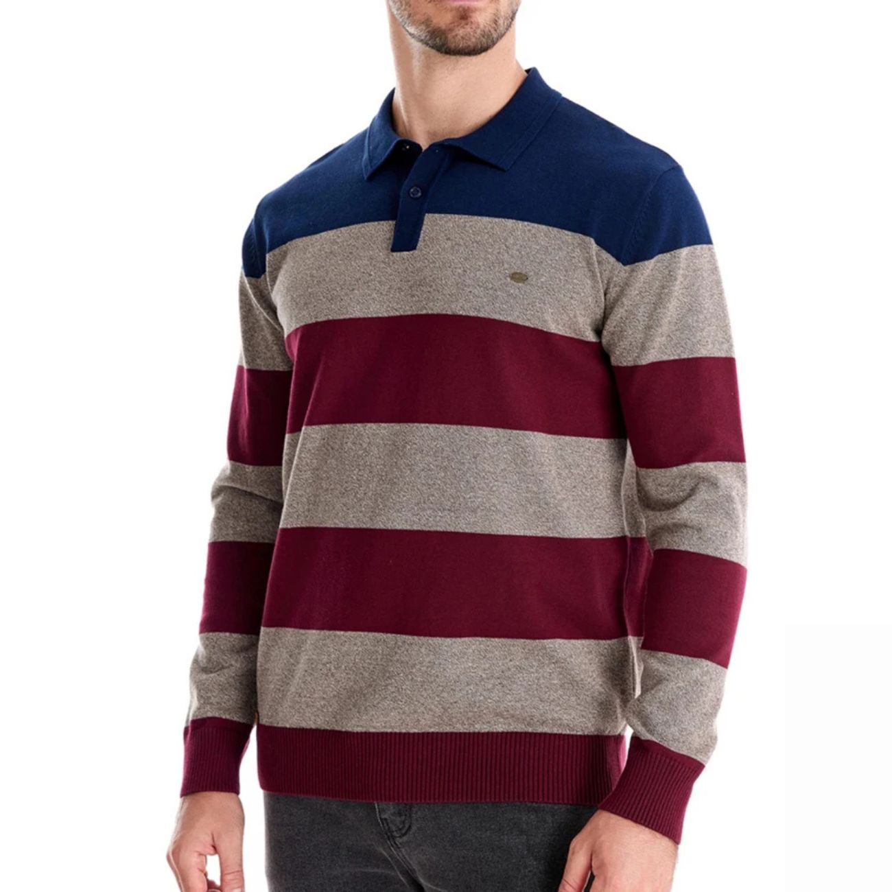 Suéter Masculino Gola Polo Aspen